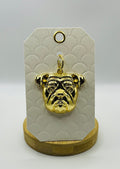 Chelsey Charm - Dog