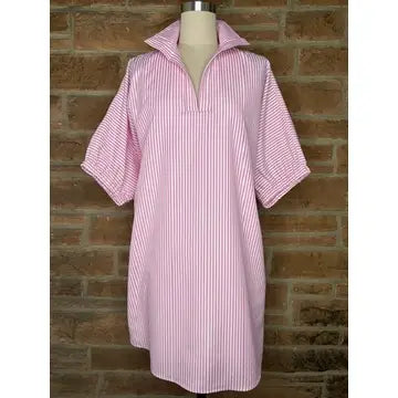 Curvy Charolette Adrienne Pink Hot Stripe Dress