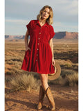Latrice Velvet Pleat Dress