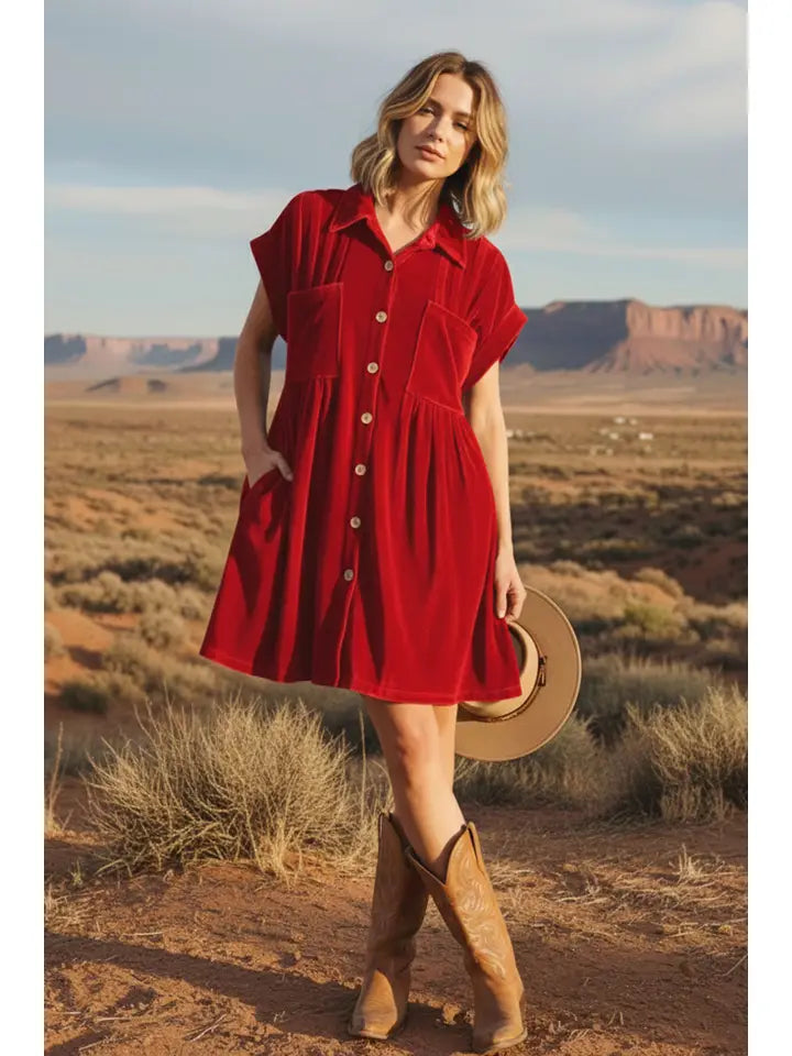 Latrice Velvet Pleat Dress