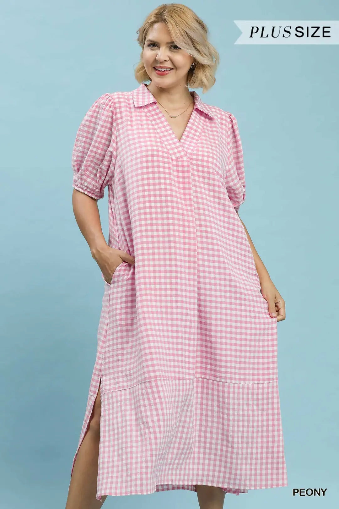 Curvy Gabriella Gingham Midi Dress
