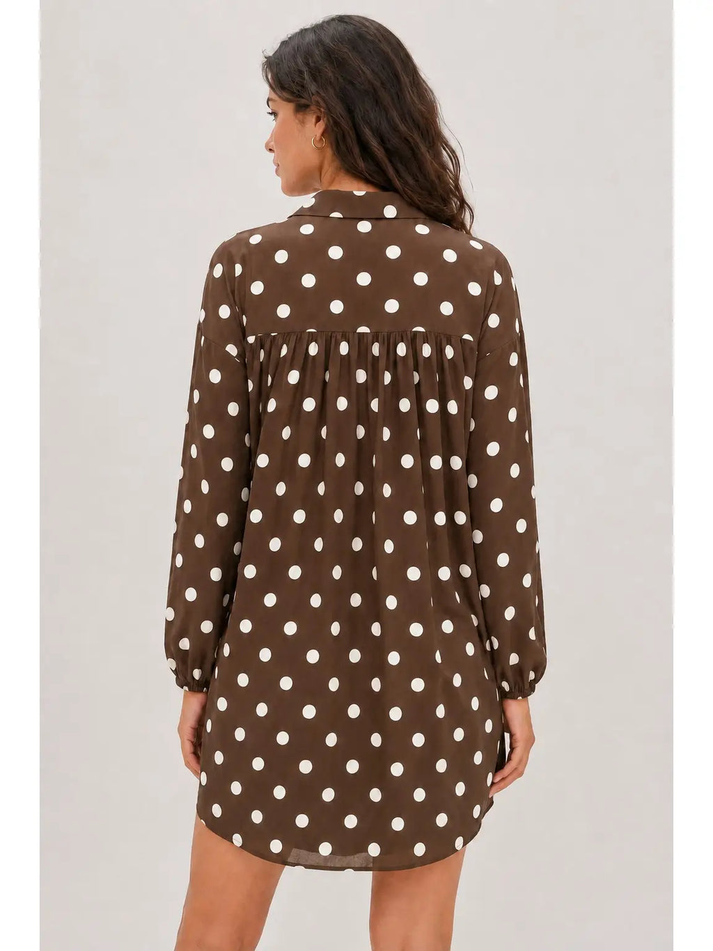 Paula Polka Dot Shirtdress