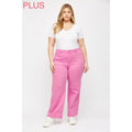 Rose Curvy Mica High Rise Wide-Leg Jeans